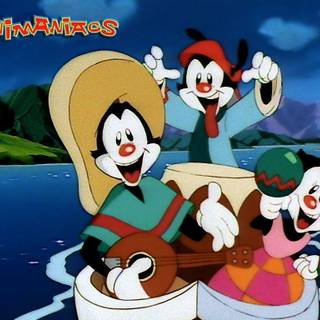 Animaniacs wallpaper