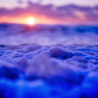 Android Oreo wallpaper