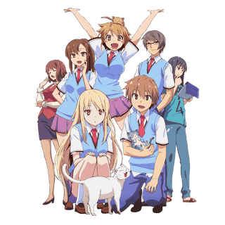 The Pet Girl of Sakurasou wallpaper