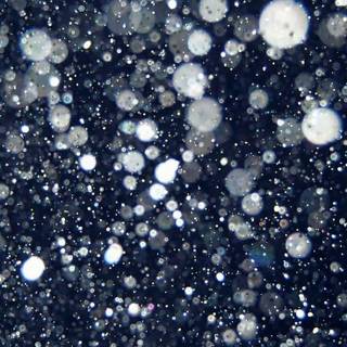 Black glitter wallpaper