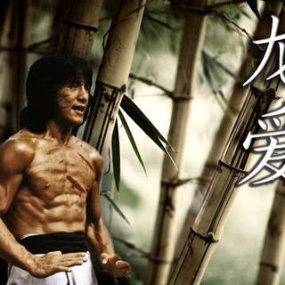 Jackie Chan 2017 wallpaper