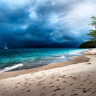 Tropical storm wallpaper