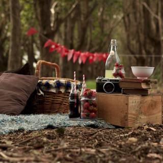 Picnic wallpaper