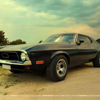 Full screen HD photo wallpaper