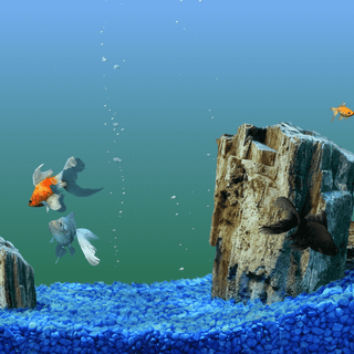 Fish tank wallpaper