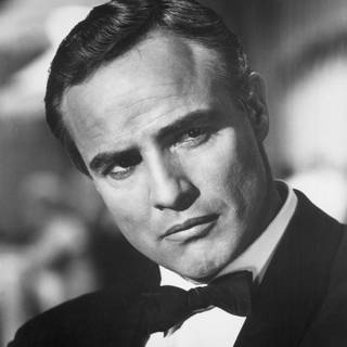 Marlon series wallpaper