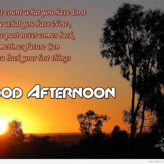 Good afternoon wallpaper
