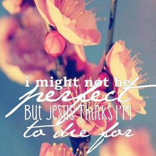 Bible verses and dolphins wallpaper