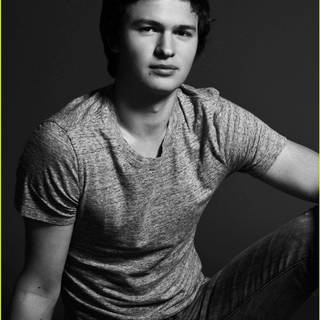 Ansel Elgort wallpaper