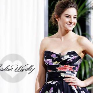 Shailene Woodley 2017 wallpaper