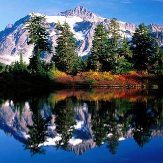 Montana State wallpaper