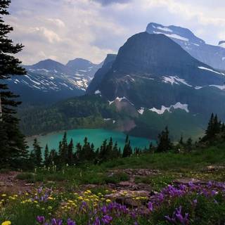 Montana State wallpaper