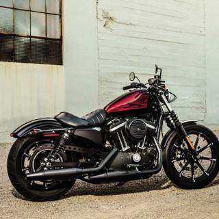Sportster Roadster wallpaper