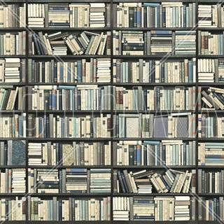 Bookshelf wallpaper