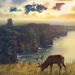 Scotland HD wallpaper