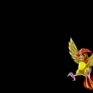 Pidgey wallpaper