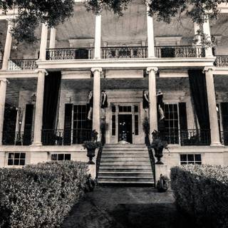 American Horror Story 2017 wallpaper