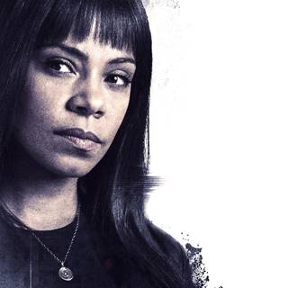 Sanaa Lathan wallpaper