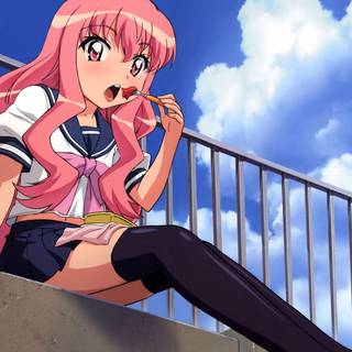 Zero no Tsukaima wallpaper