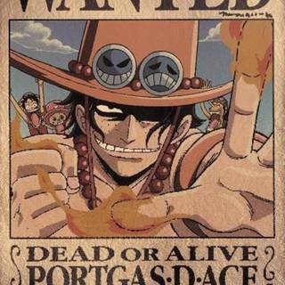 Wanted poster One Piece wallpaper