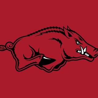Arkansas Razorbacks wallpaper