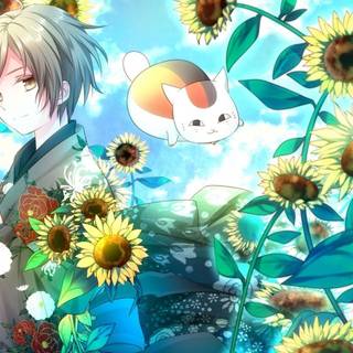 Natsume wallpaper