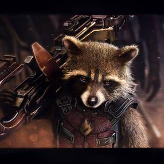 Rocket Raccoon wallpaper