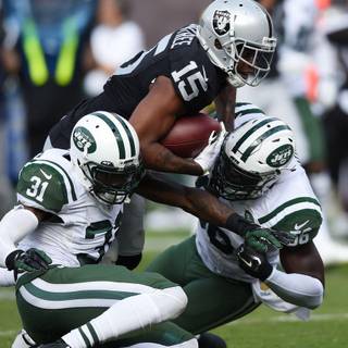 Antonio Cromartie wallpaper