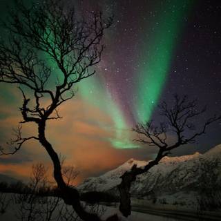 Northern lights HD wallpaper