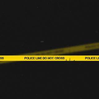 Police officers wallpaper