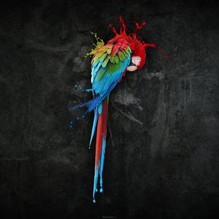 All snakes wallpaper