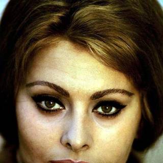 Sophia Loren wallpaper