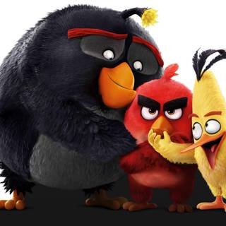 Angry Birds wallpaper