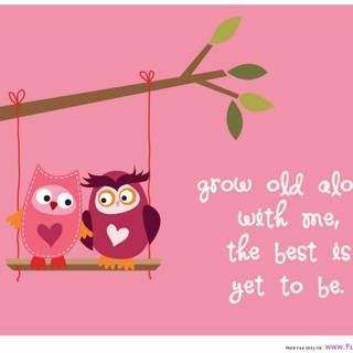 Quotes silly fights wallpaper