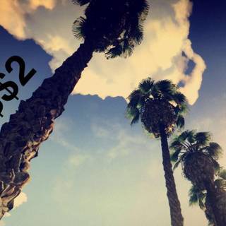 $uicideboy$ wallpaper