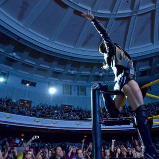 WWE Finn Bálor wallpaper