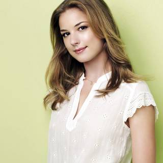 Emily VanCamp wallpaper