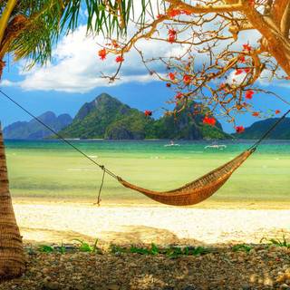 Hammock wallpaper