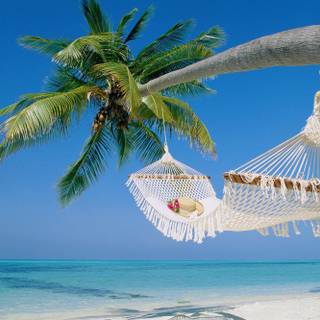 Hammock wallpaper