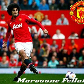 Fellaini wallpaper