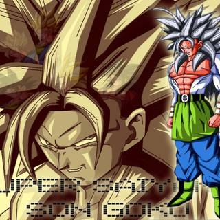 Dragon Ball Z Goku SSJ10 wallpaper