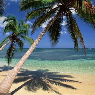 Dominican Republic wallpaper