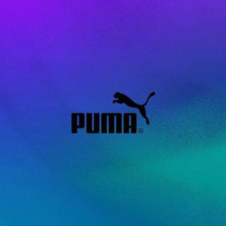 Puma shoes wallpaper