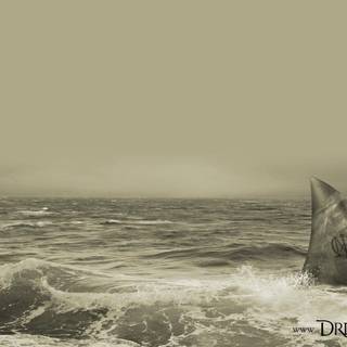 Dream Theater wallpaper