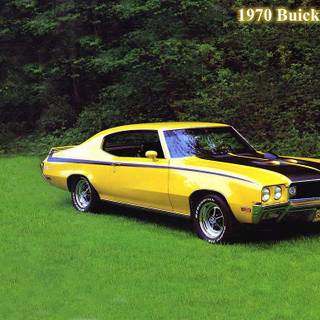 Muscles cars 1970 wallpaper