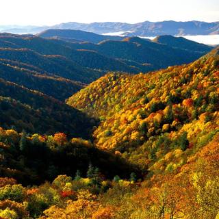 Great Smoky Mountains National Park wallpaper