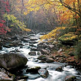 Great Smoky Mountains National Park wallpaper