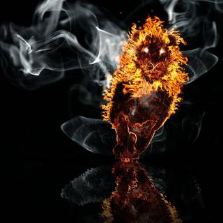 Fire lion wallpaper