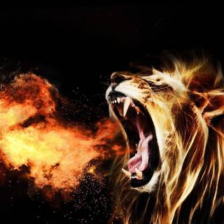 Fire lion wallpaper
