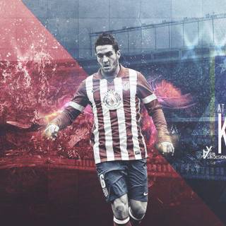 Koke wallpaper